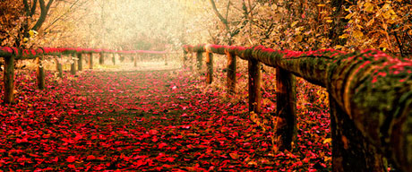 جملات الهام بخش برای زندگی (6)