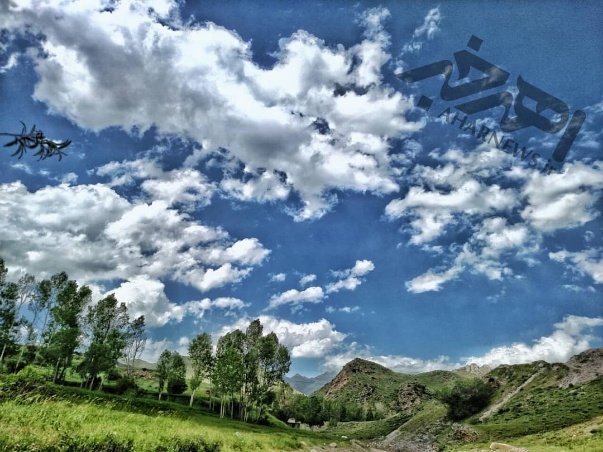 درمان چگونه باشد تاکنون موفق نبوده ایم