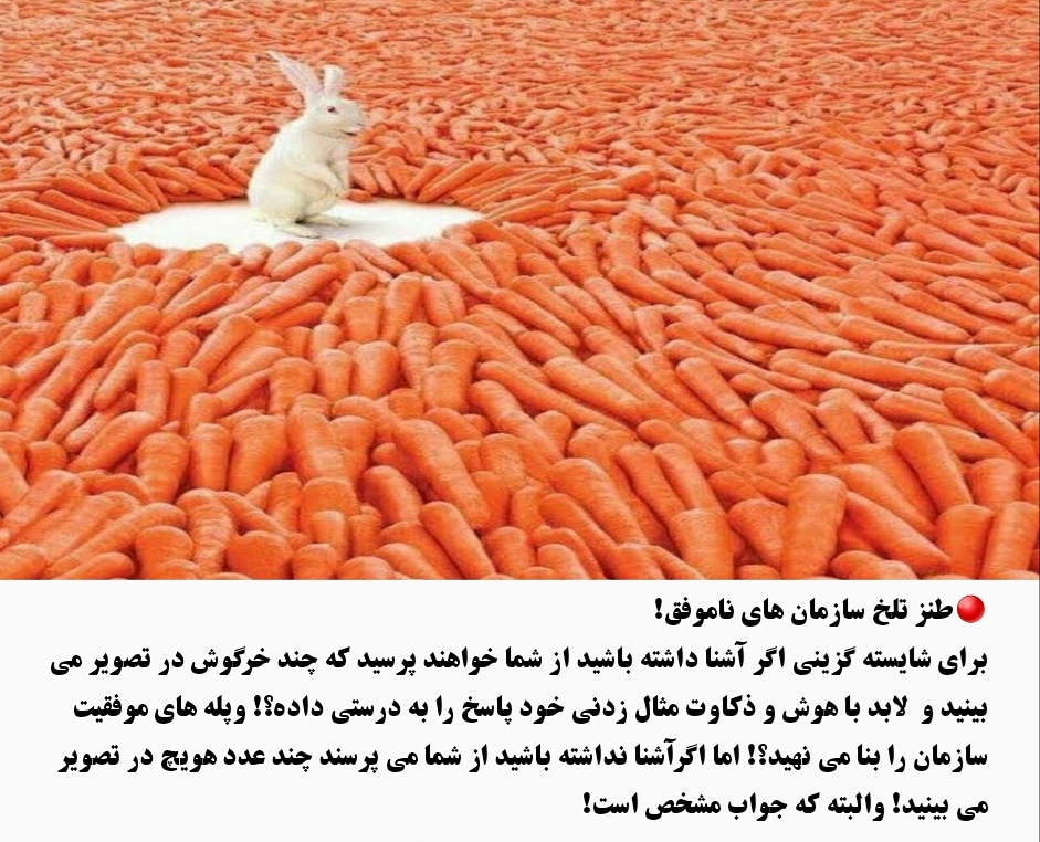 طنز تلخ سازمان های ناموفق!