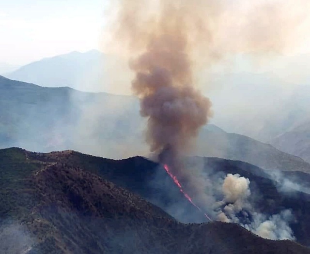 جنگل های ارسباران در آتش