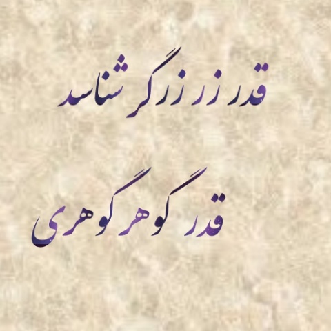 قدر زر زرگر شناسد قدر گوهر گوهری