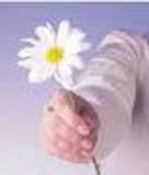 بخشش کنید ، کینه ها و تلخی ها را دور بریزید