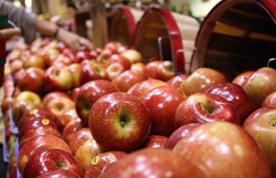 سیب و سرطان ؛ چه باید کرد؟ 