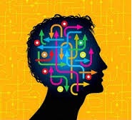 راهکارهایی برای توانمندی و جوان‌سازی مغز